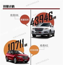 網(wǎng)通社汽車佳木斯安信 專業(yè)銷售服務(wù)，驅(qū)動(dòng)龍江出行新體驗(yàn)